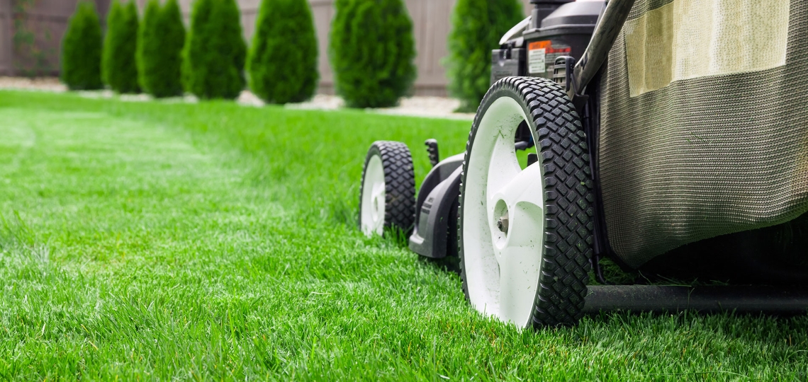 Services Raleigh, NC Information